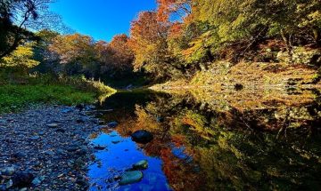 紅葉の見頃、最も検索される時期とは？